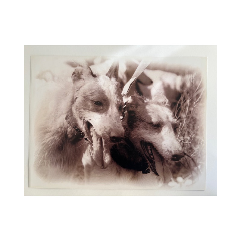 LÁMINA DECORATIVA PARA ENMARCAR 30