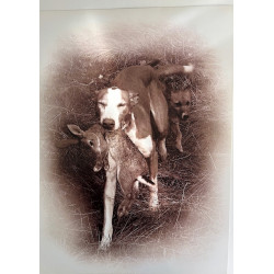 copy of LÁMINA DECORATIVA...