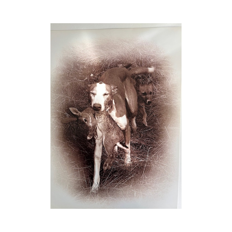 LÁMINA DECORATIVA PARA ENMARCAR 33