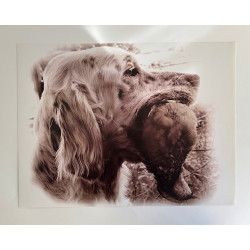 LÁMINA DECORATIVA PARA ENMARCAR 35