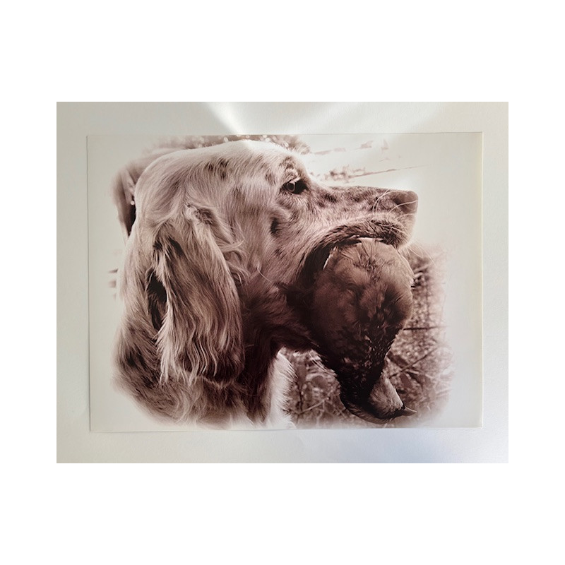 LÁMINA DECORATIVA PARA ENMARCAR 35