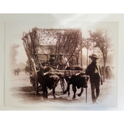 LÁMINA DECORATIVA PARA ENMARCAR 36