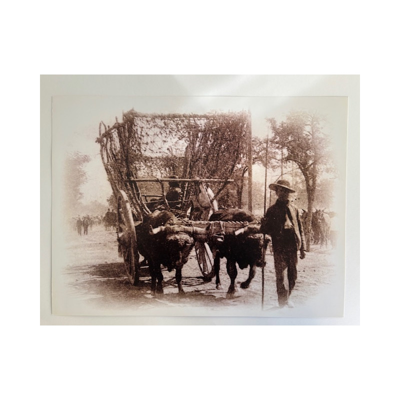 LÁMINA DECORATIVA PARA ENMARCAR 36