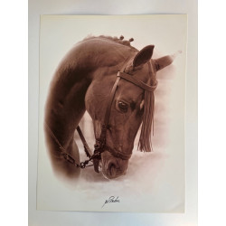 copy of LÁMINA DECORATIVA...