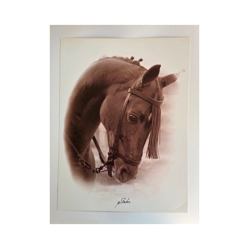 LÁMINA DECORATIVA PARA ENMARCAR 37