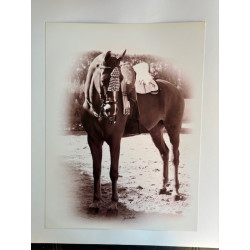 LÁMINA DECORATIVA PARA ENMARCAR 38