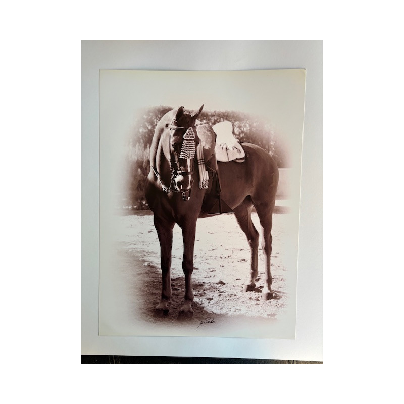 LÁMINA DECORATIVA PARA ENMARCAR 38