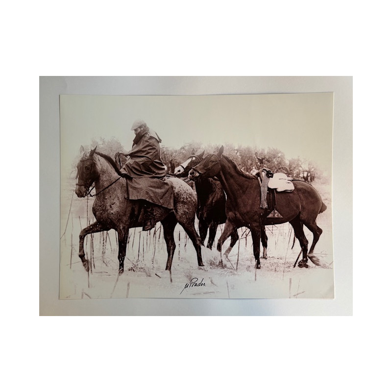 LÁMINA DECORATIVA PARA ENMARCAR 39