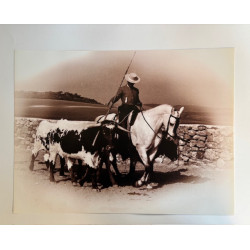 copy of LÁMINA DECORATIVA...