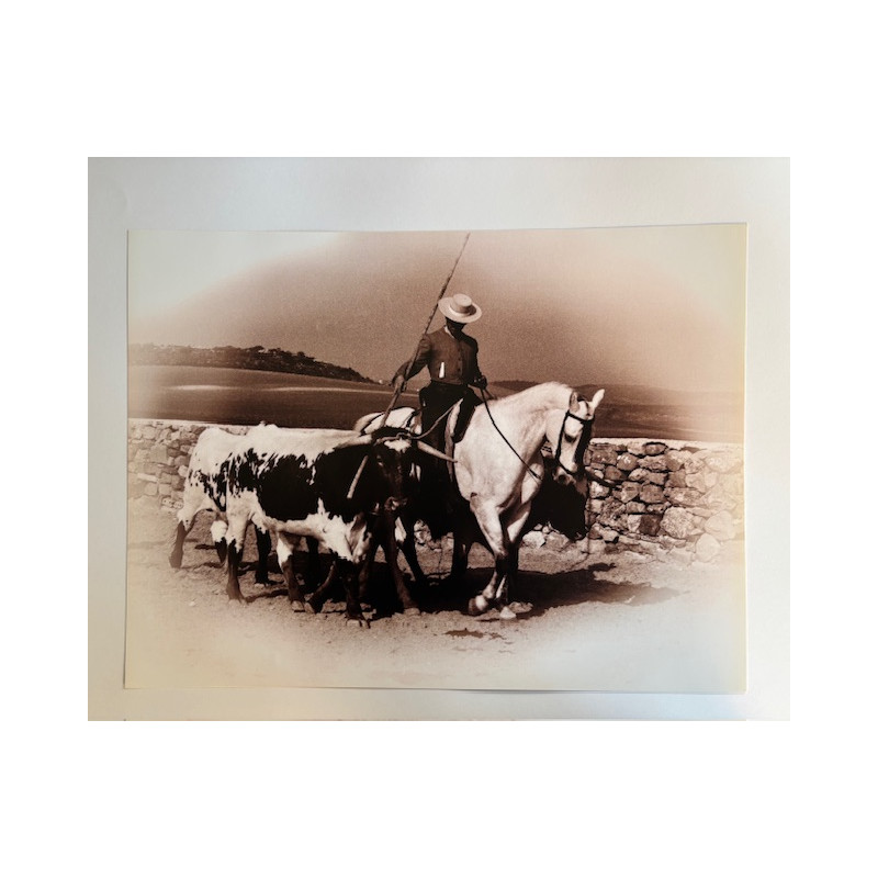 LÁMINA DECORATIVA PARA ENMARCAR 42