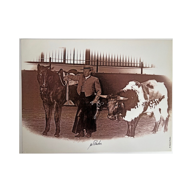 LÁMINA DECORATIVA PARA ENMARCAR 44