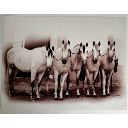 copy of LÁMINA DECORATIVA...