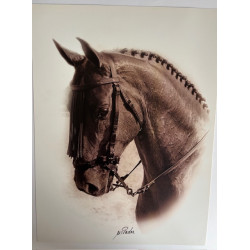 LÁMINA DECORATIVA PARA ENMARCAR 47