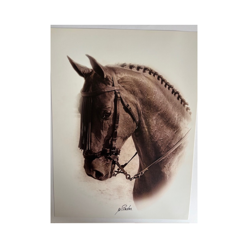 LÁMINA DECORATIVA PARA ENMARCAR 47