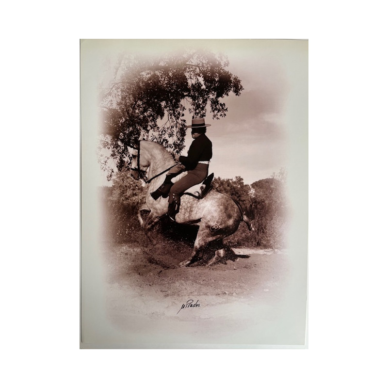 LÁMINA DECORATIVA PARA ENMARCAR 50