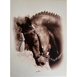 LÁMINA DECORATIVA PARA ENMARCAR 51