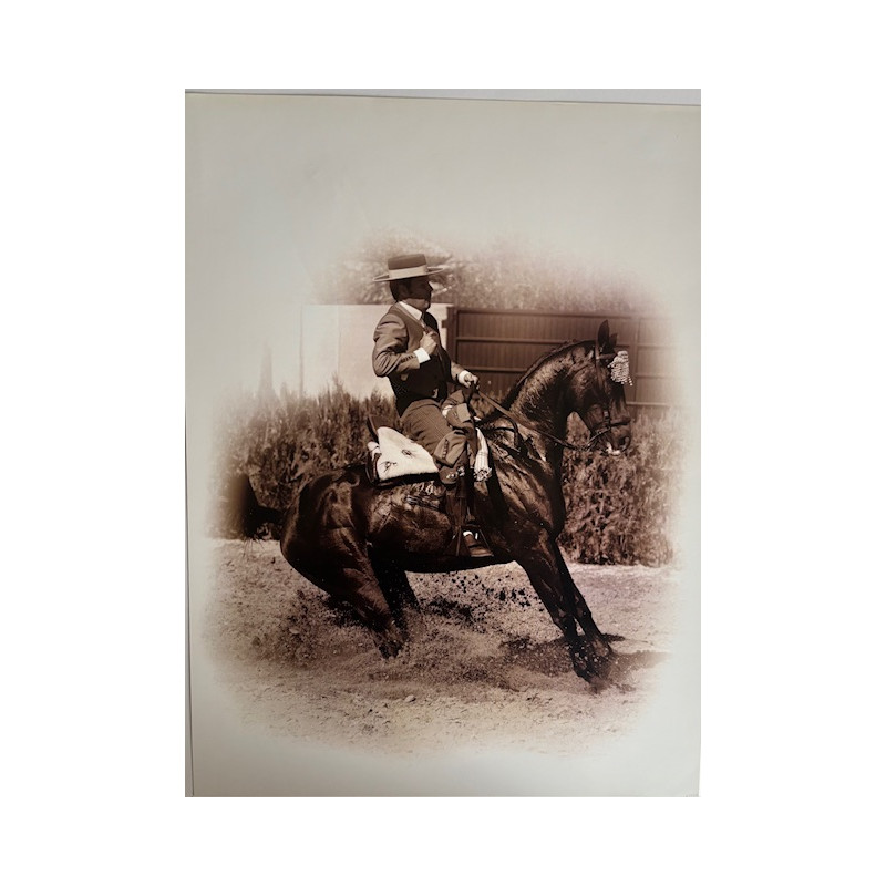 LÁMINA DECORATIVA PARA ENMARCAR 52