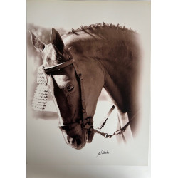 LÁMINA DECORATIVA PARA ENMARCAR 54