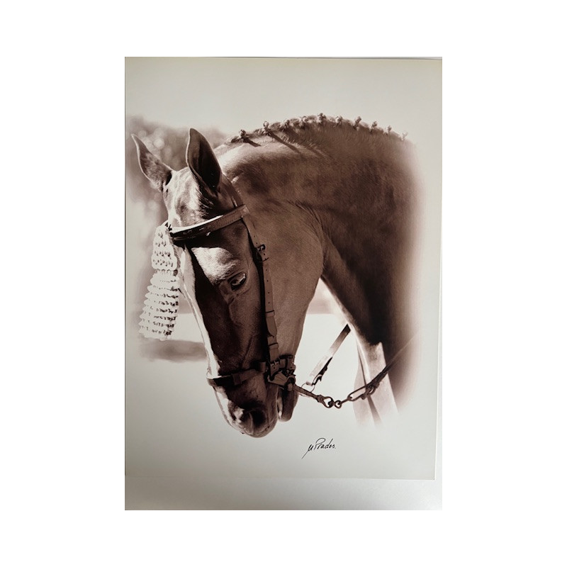 LÁMINA DECORATIVA PARA ENMARCAR 54