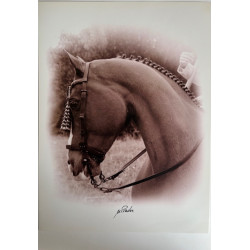 copy of LÁMINA DECORATIVA...