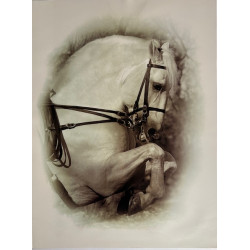 LÁMINA DECORATIVA PARA ENMARCAR 56