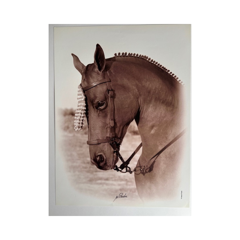 LÁMINA DECORATIVA PARA ENMARCAR 57