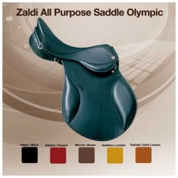 SILLA ZALDI USO GENERAL OLYMPIC