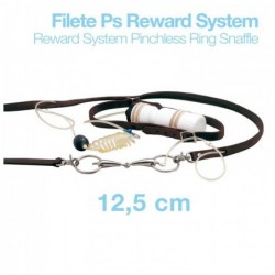 FILETE PS REWARD SYSTEM RW21904N