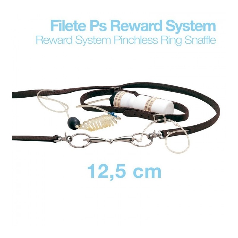FILETE PS REWARD SYSTEM RW21904N