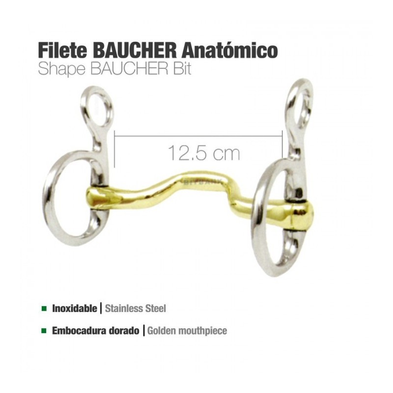 FILETE BAUCHER ANATÓMICO BBI INOX