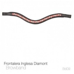 FRONTALERA INGLESA DIAMONT BB09 NEGRO