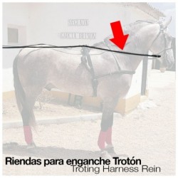 ENGANCHE RIENDAS TROTÓN NEGRO