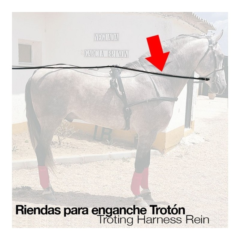 ENGANCHE RIENDAS TROTÓN NEGRO