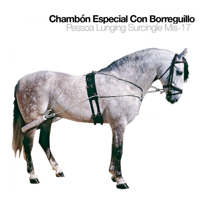 CHAMBÓN ESPECIAL CON BORREGUILLO MIS-17
