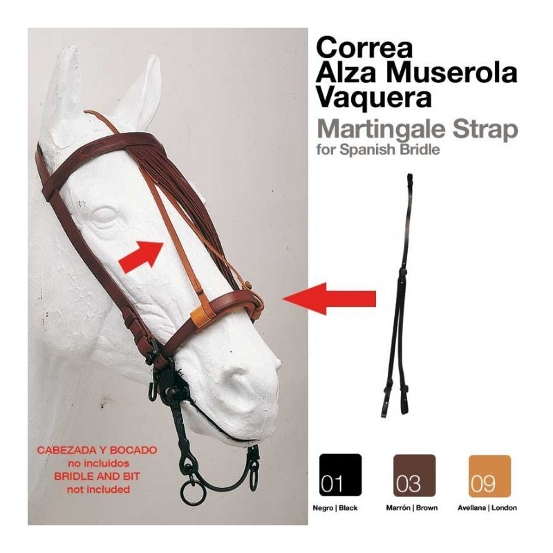 CORREA ALZA MUSEROLA VAQUERA