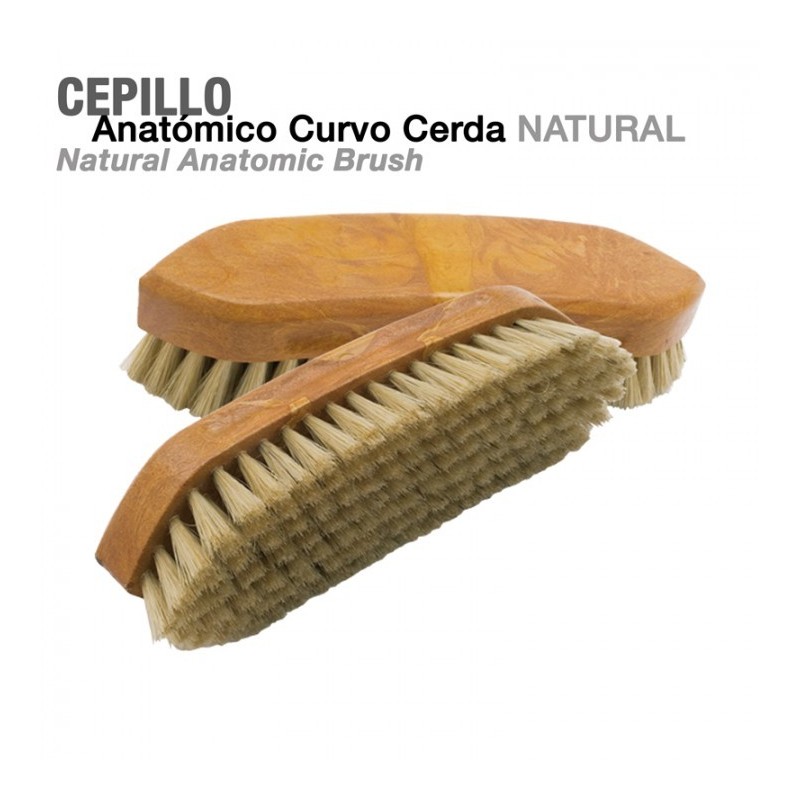 CEPILLO ANATÓMICO CURVO CERDA NATURAL