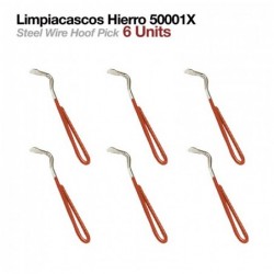 LIMPIACASCOS HIERRO 50001X 6uds
