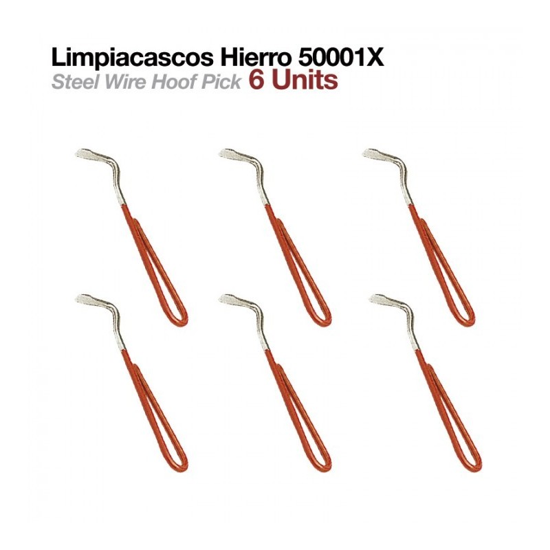 LIMPIACASCOS HIERRO 50001X 6uds