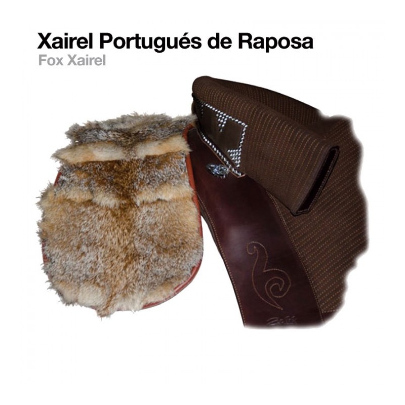 Grupera XAIREL PORTUGUÉS DE RAPOSA