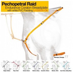 PECHOPETRAL RAID LR130035