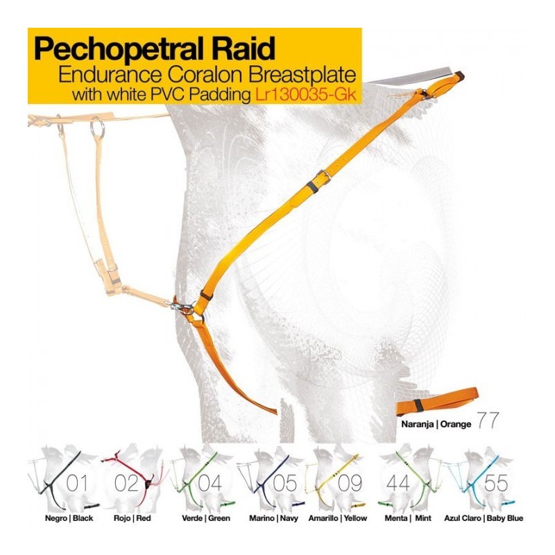 PECHOPETRAL RAID LR130035