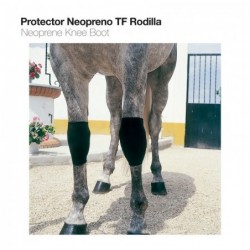 PROTECTOR NEOPRENO TF RODILLA TN-1508 NEGRO