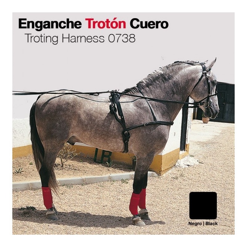 ENGANCHE TROTÓN CUERO NEGRO