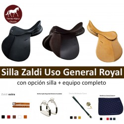 SILLA ZALDI USO GENERAL ROYAL