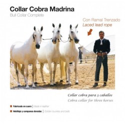 COLLAR COBRA MADRINA CON...