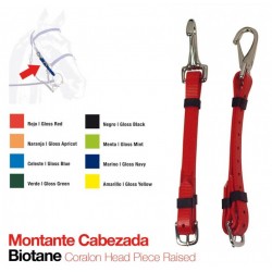 MONTANTE CABEZADA BIOTANE LR130012