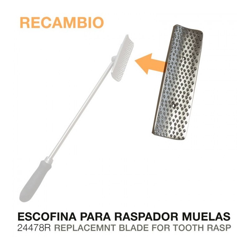 RASPADOR MUELAS ESCOFINA 24478R